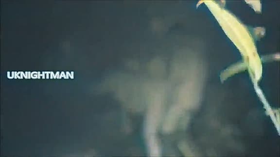 Hot couple fucking in public 😳